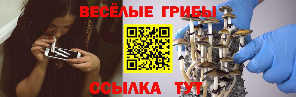 Югорск  Псилоцибиновые грибы мицелий  Вход с VPN 